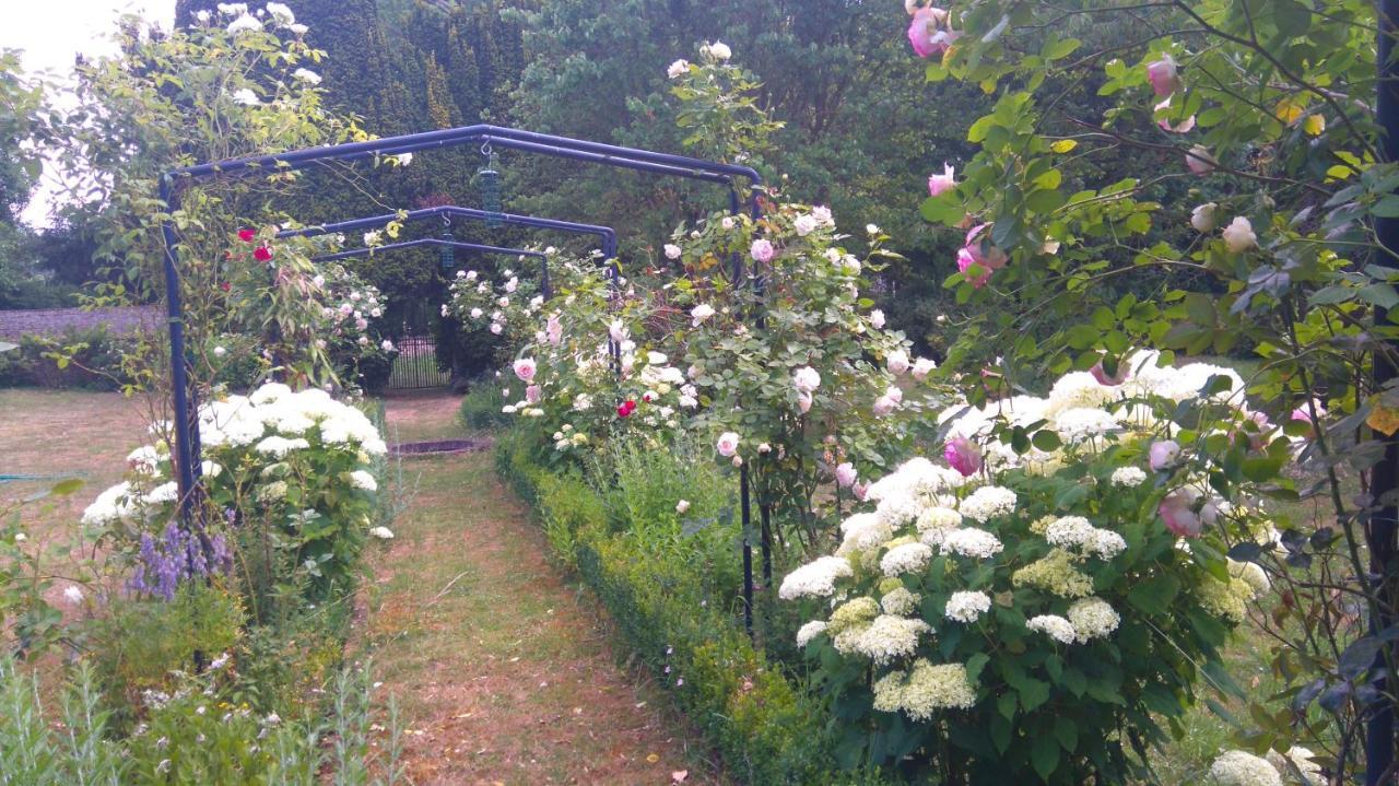 Le Jardin Des Ecureuils 호텔 Demuin 외부 사진